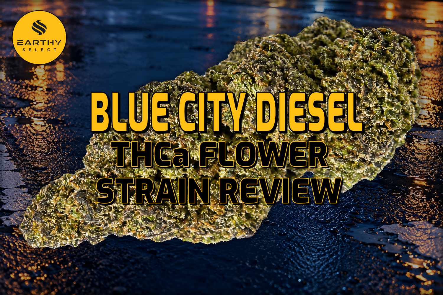 Blue City Diesel THCa Flower Strain Review - Earthy Select - Blog Blue City Diesel THCa Flower Strain Review - Earthy Select - Blog
