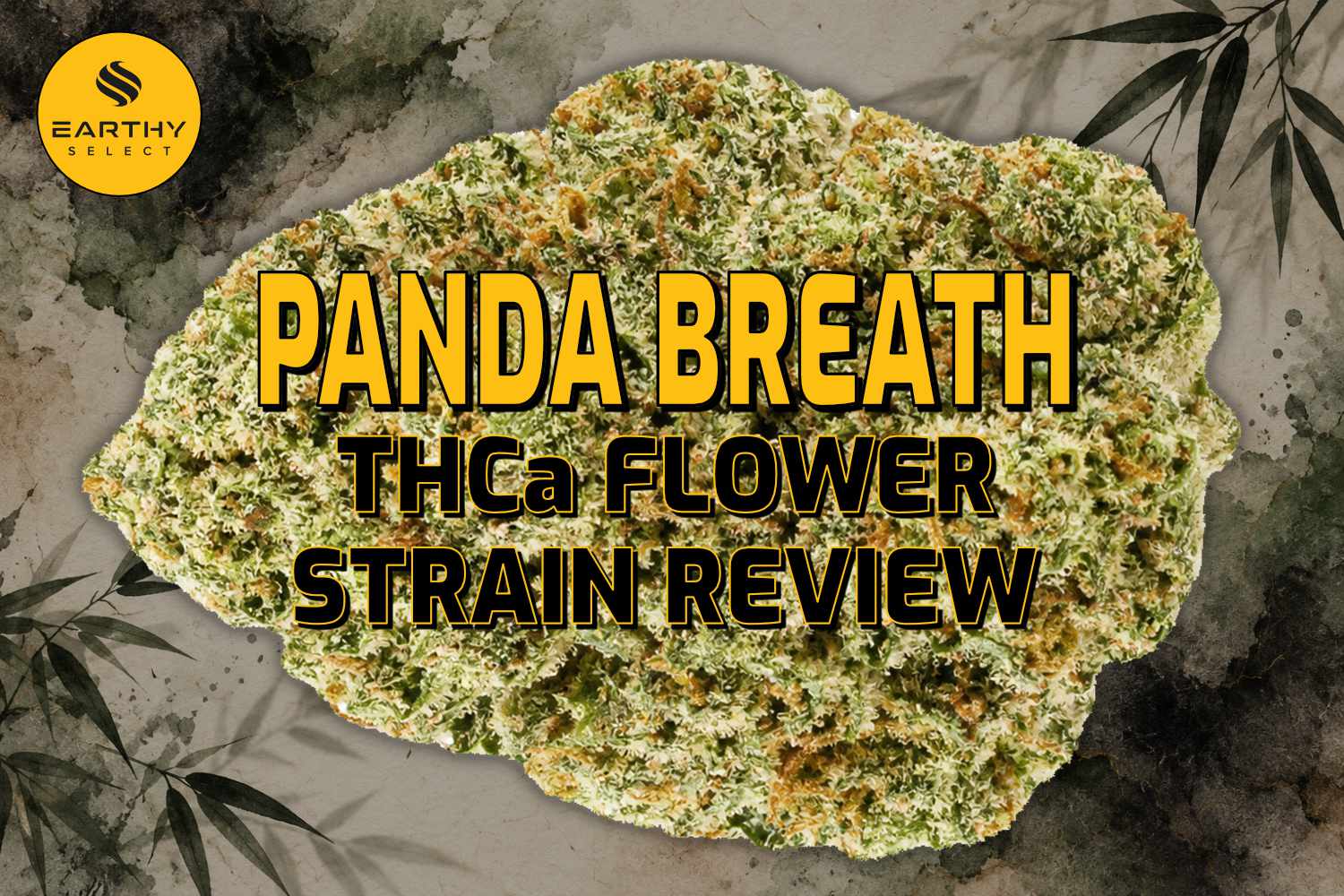 Panda Breath THCa Flower Strain Review - Earthy Select - Blog Panda Breath THCa Flower Strain Review - Earthy Select - Blog