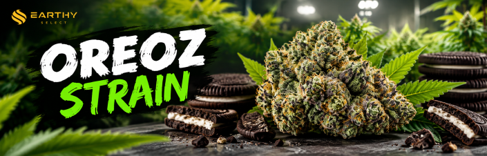 ozeoz strain