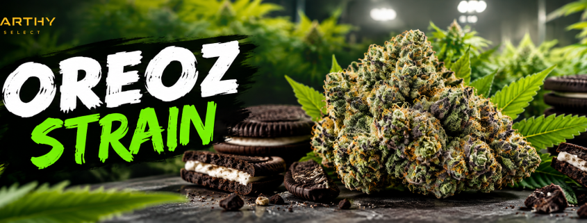ozeoz strain