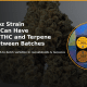 Oreoz strain batch variation
